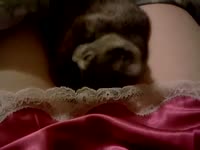 Sexy babe getting dog oral sex while wearing her sleeping dress